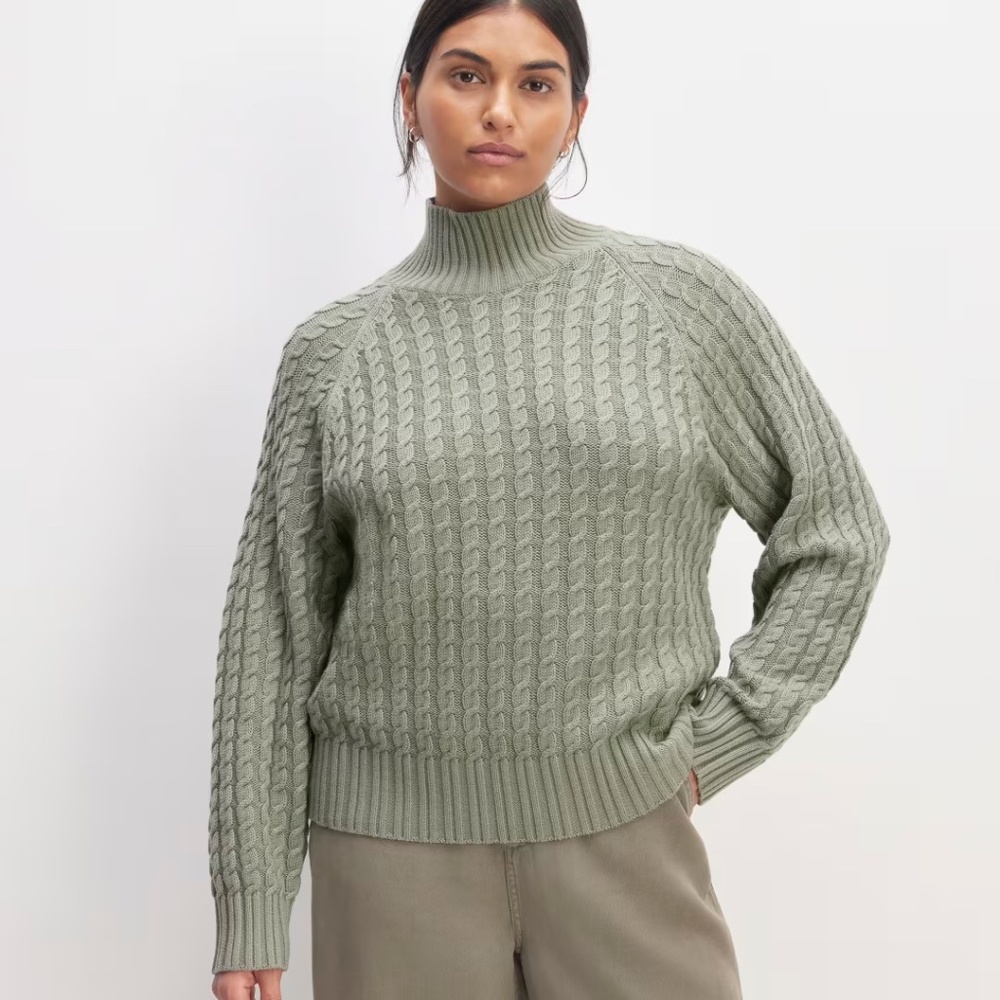 Everlane Sage The Cotton Merino Cable Turtleneck
